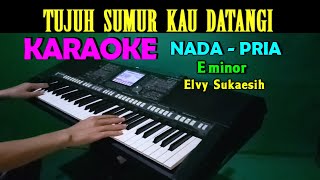 TUJUH SUMUR - Elvy Sukaesih | KARAOKE Nada Pria, HD