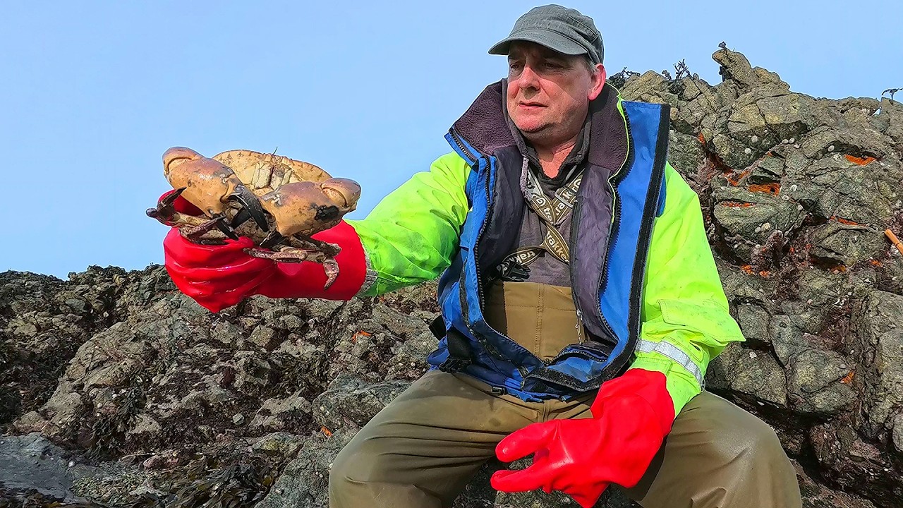 Not Seen One Of These For A Long Time & Making A Foraging Hook