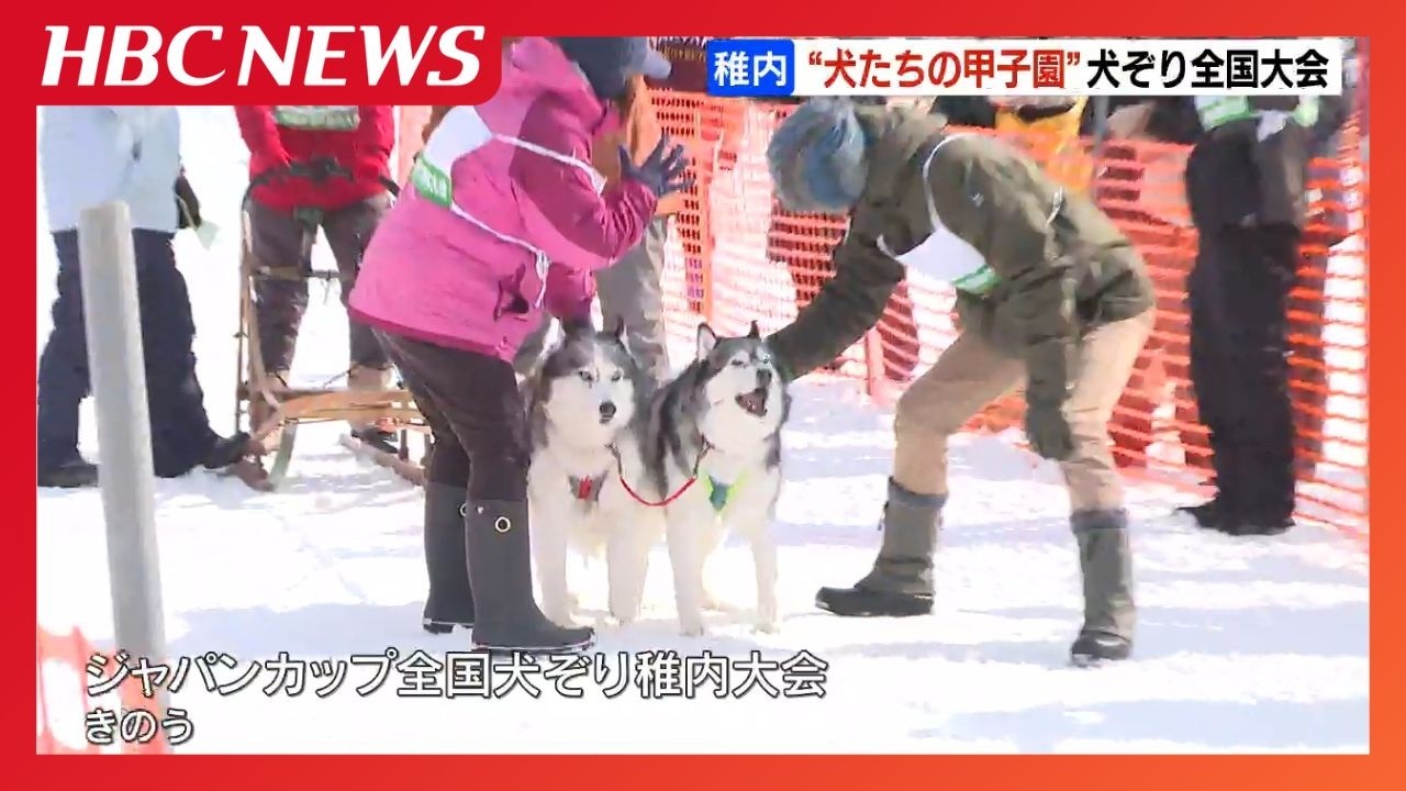 Dog Koshien