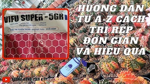 HƯỚNG DẪN CÁCH TRỊ RỆP HIỆU QUẢ VÀ ĐƠN GIẢN Ở XƯƠNG RỒNG | XƯƠNG RỒNG TAM KỲ