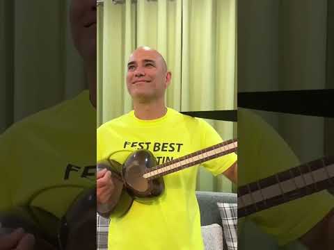 تار یه ساز تمام عیار