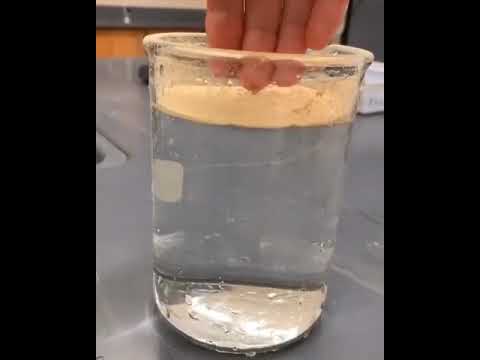 Lycopodium Spores Of Club Moss Interesting Facts Shorts Topchannel