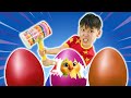 Surprise Egg Song 🥚🎶 | What’s Inside? | Hokie Pokie Kids Videos