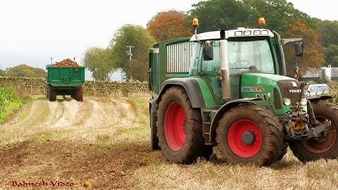 Fodder Beet Harvesting with New Holland, Fendt and Armer Salmon.