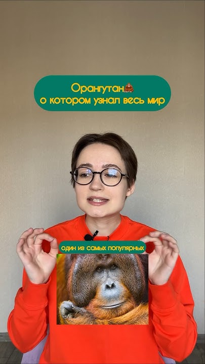 Это просто нонсенс) Откуда вот у него такая сообразительность - YouTube