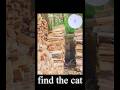 Find the cat