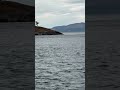 Whale Sightings