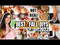 20 *NEW* Dollar Tree $1 Fall DIYS on a Budget! (easy hacks for a Cozy Home in 2023)