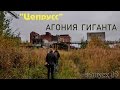 Цепрусс Калининград. Агония гиганта (выпуск 39)