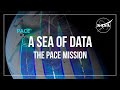 Understanding the PACE Mission