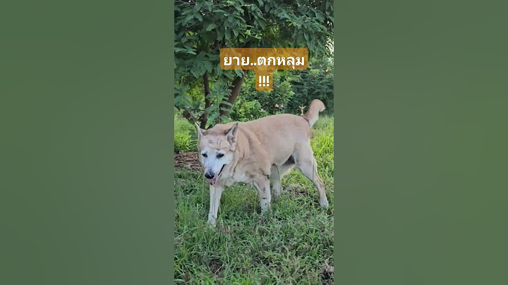 #shorts ยายลำยอง ตกหลุม!!