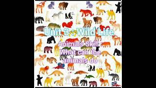Unit 3 : Wild Animals ( Amazing Skills)