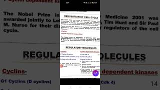 regulation of cell cycle in brief