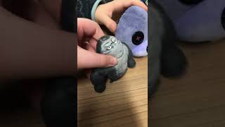 I’ve got the new withered bonnie plush from Santa at Lapland #hex