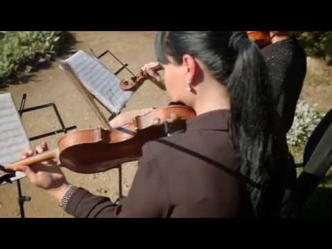 სიმებიანი კვარტეტი \"Four Tunes\" - Led Zeppelin \"Stairway to Heaven\" Cover