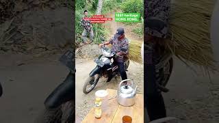 Rungkad bellanova   Bela Nova rungkad