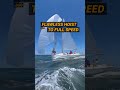 Full Send! 🚀 ESP 1361 Nails Offset Hoist and Accelerates #sailing