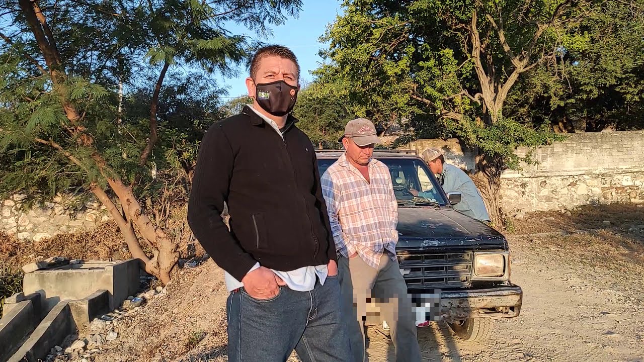 Cultivando caña de Azúcar en el estado de Morelos(Zafra 20-21 cortando caña en crudo)