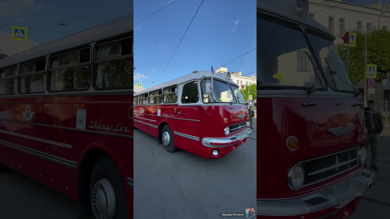 Ikarus 55 Lux «Сигара» – легендарный автобус из прошлого в настоящем