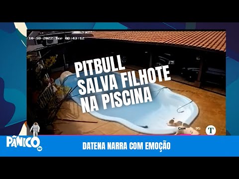 Emocionante