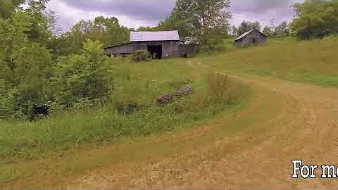Wilson Realtors: 1019 Edwin Shoemaker Rd