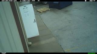 RECONYX HYPERFIRE 2 (SECURITY)