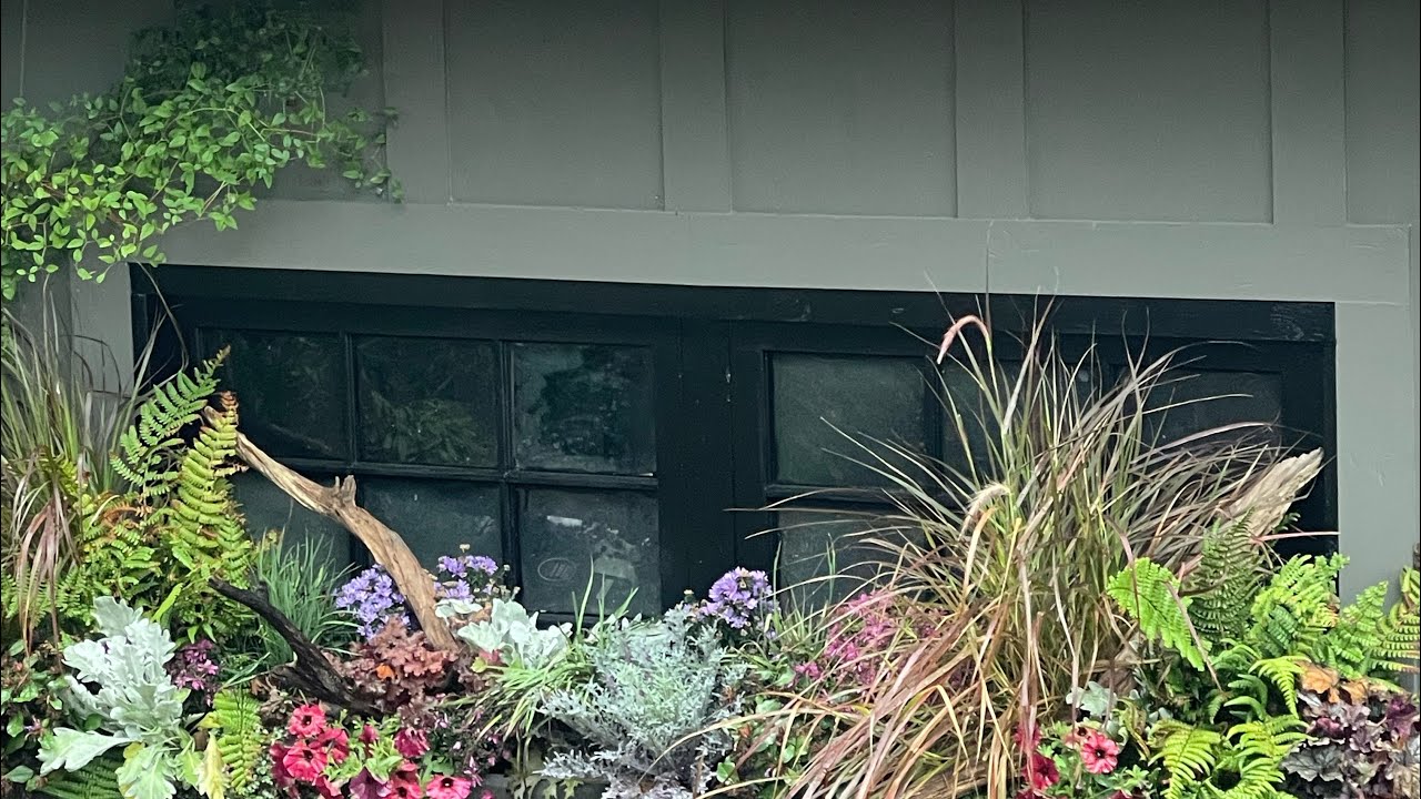 Fall containers 🍁🍂 Crescent Gardens window boxes