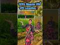 😲My New Location❓️ #minivlog #myfirstvlog #odia #sambalpuri #trending #video #new #location #shorts