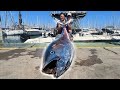 Angler fangen MONSTERFISCH in MITTELMEER! 🤯  (Catch,Clean,Cook)