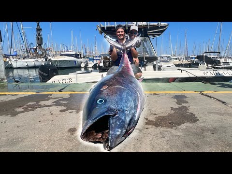 Angler fangen MONSTERFISCH in MITTELMEER! 🤯  (Catch,Clean,Cook)