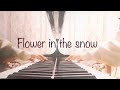 Flower in the snow / なにわ男子  ピアノ