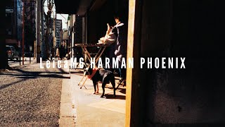 まるで昔の映画！？是非使ってみて欲しいフィルムを紹介します！ - YouTube