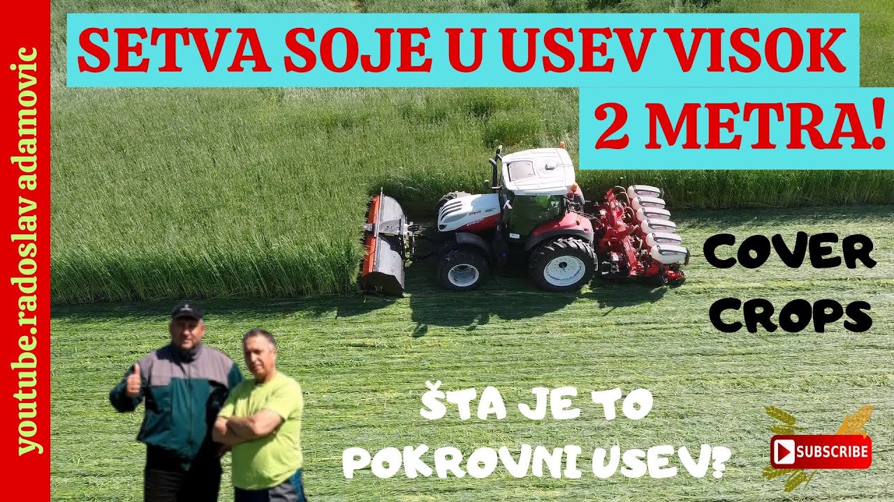 SETVA SOJE U USEV VISOK 2 METRA:ŠTA JE TO POKROVNI USEV?; SOWING SOY IN A CROP 7 ft HIGH:COVER CROPS