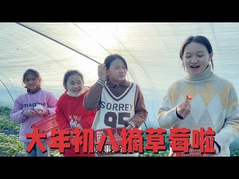宝妈带着5个孩子去摘草莓，红彤彤的真诱人，小老四真的很暖心！