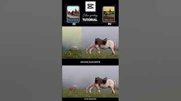 Capcut Cenemetic Colour Grading video editing||👍