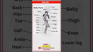 Learn Body Parts in English | Easy Vocabulary for Beginners | Learn and Success