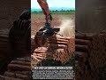 High-Speed Log Bundling Machine in Action #tools #builders #woodworking