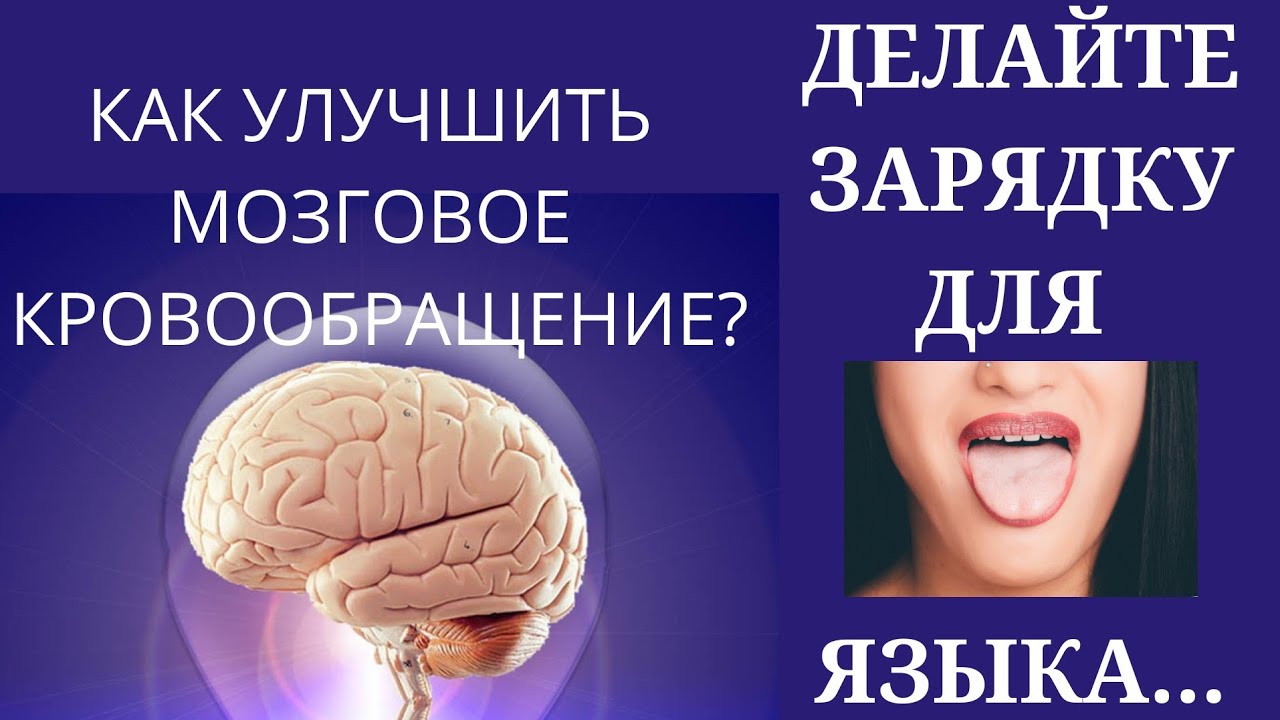 Подзарядка мозга. Зарядка для головного мозга футаж. Упражнения для улучшения мозгового кровообращения для пожилых людей. Заряжаем мозг. Музыка для улучшения мозга и памяти