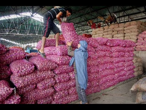 Wholesale onion prices soar at Lasalgaon in Maharashtra - YouTube