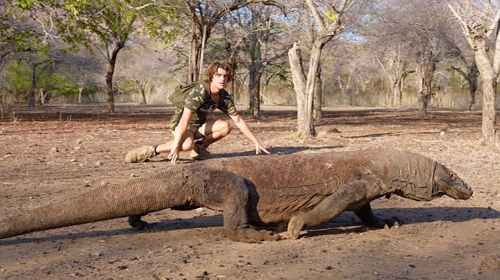 Surviving With Komodo Dragon & King Cobra - Year In The Wild! Part 2
