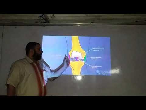 فيديو: كم عدد الأربطة الصليبية في مفصل الركبة؟