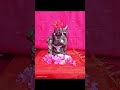 குபேரன் வரலாறு |# ஓம் நமசிவாய