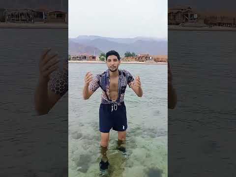 وفي عيني دمعة ندم معزباني يا ناس Producer Music Beatbox اكسبلور Beatmaker Beatmaking Beats
