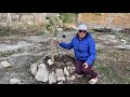 Как выращивать плодовые методом пермакультуры в Крыму