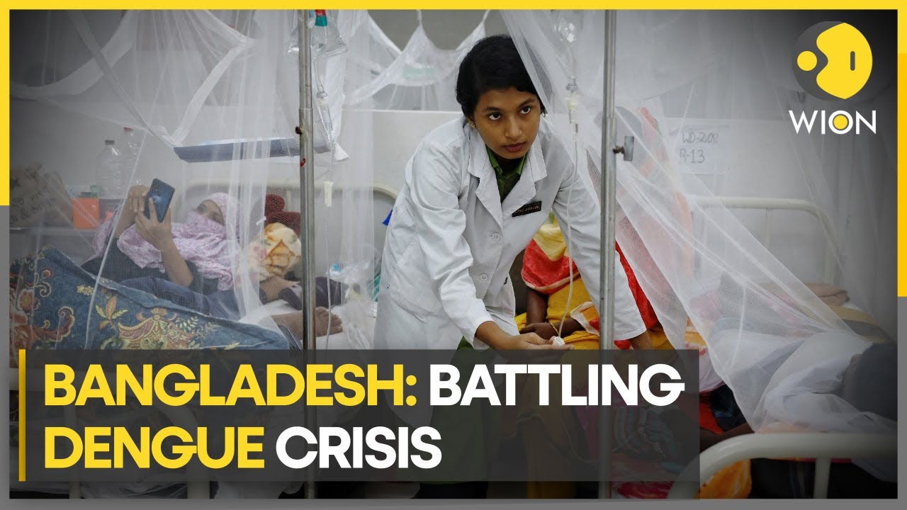 Bangladesh: Surge in dengue fever; WHO urges swift action as cases rise ...
