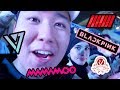 MY FIRST KPOP CONCERT (BLACKPINK, iKON, SEVENTEEN, RED VELVET, WANNA ONE, MAMAMOO and more!)