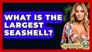 What Is The Largest Seashell? - Beach Tour Guide