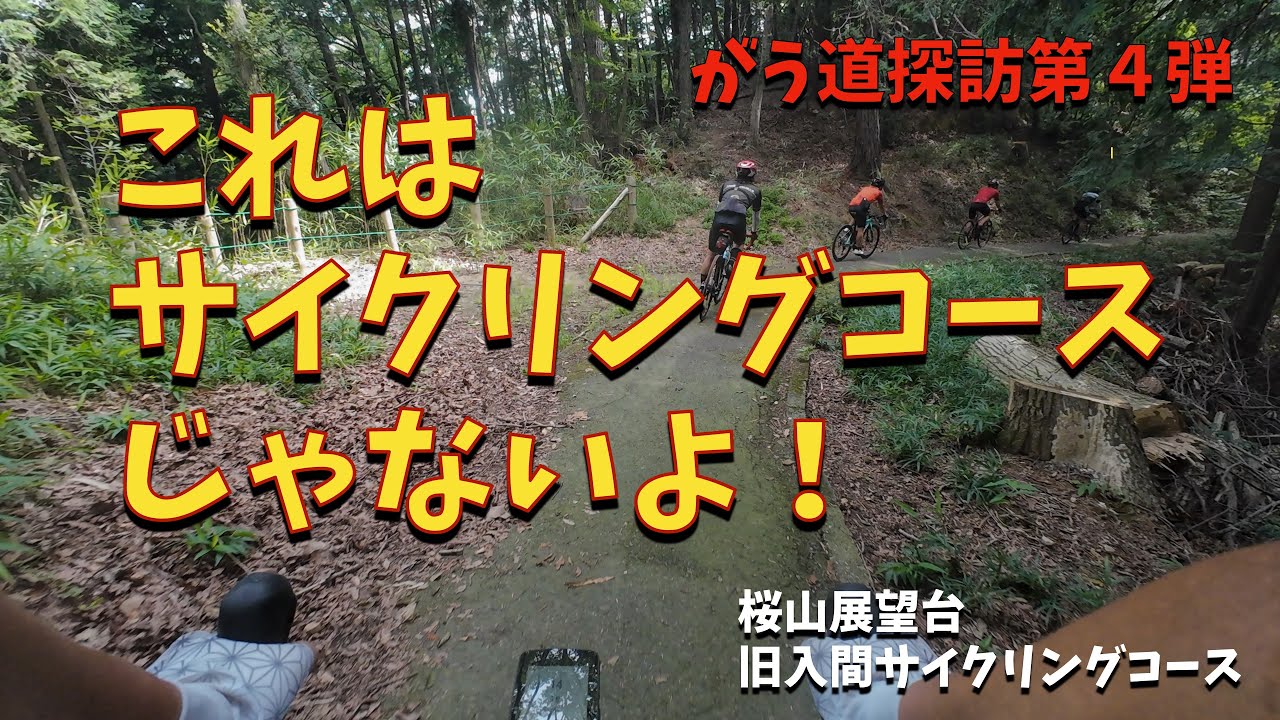 山採り　ザイフリボク 山採り ザイフリボク カード検索 ｜ Z/X - Zillions of enemy X