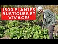 Ref:ZLGVeWApdWY 1500 vari�t�s de plantes vivaces et rustiques dans ce jardin unique