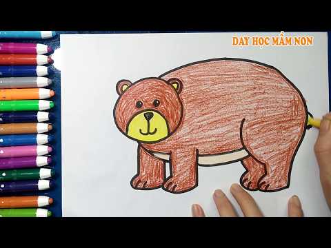 Gấu Tô Màu - Hướng dẫn cách vẽ CON GẤU, Tô màu CON GẤU - How to draw a Bear